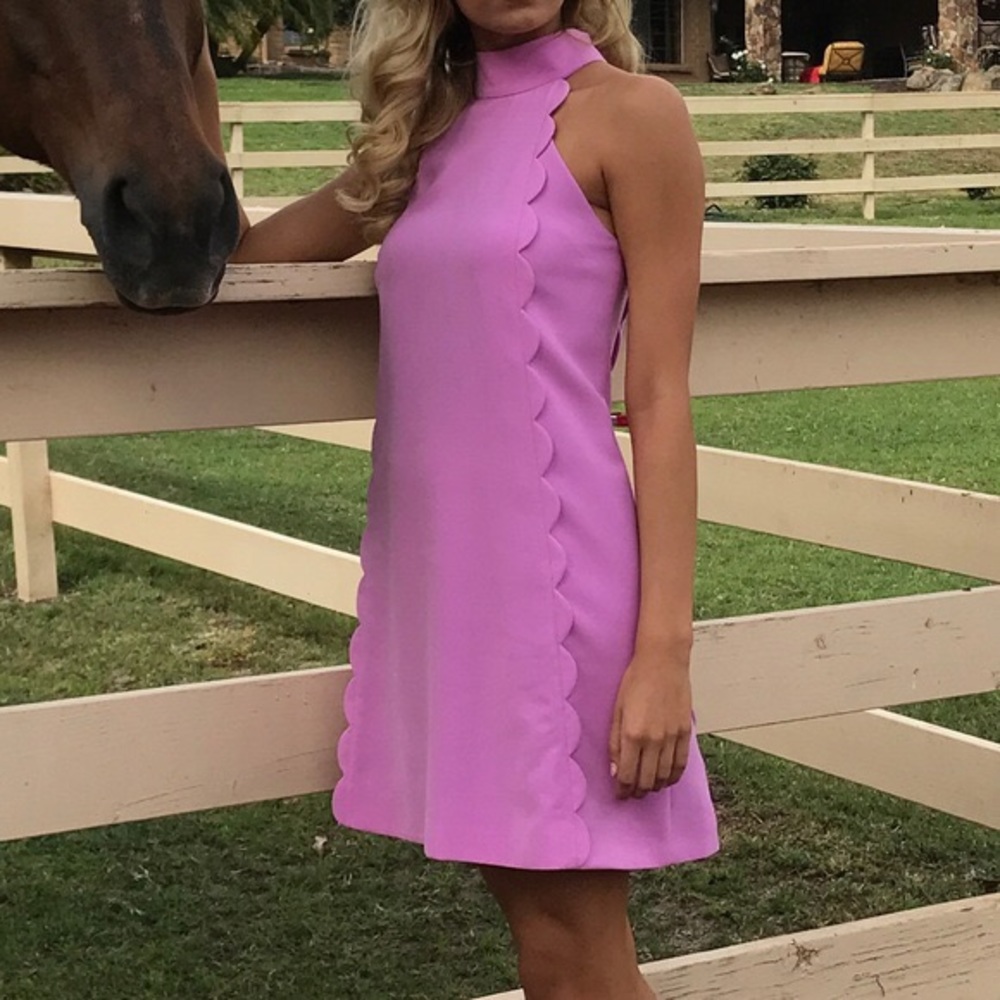 Ted Baker Pale Pink Torrii Dress